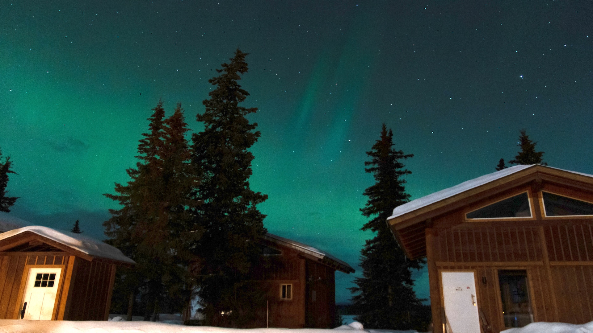 Auf der Jagd nach der Aurora Borealis: Nordlichter im Western Chilcotin
